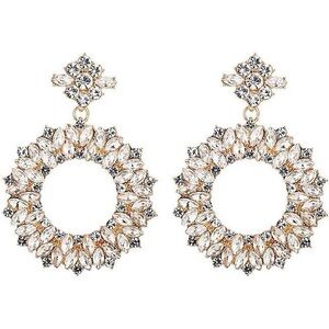EYE CANDY LA LUXE COLLECTION CRYSTAL RILEY LOOP EARRINGS